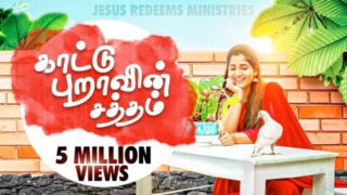 Kaattu Puraavin Saththam lyrics,Kaattu Puraavin Saththam song,