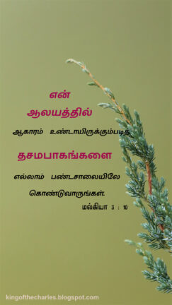 christian verse tamil,bible verse tamil,christian vasanam,