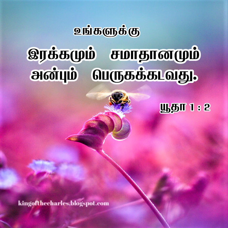 Android İndirme için Christian Wallpaper  Tamil Bible Verses Quotes APK