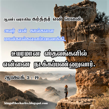 christian vasanam,christian wallpaper,bible verse tamil,