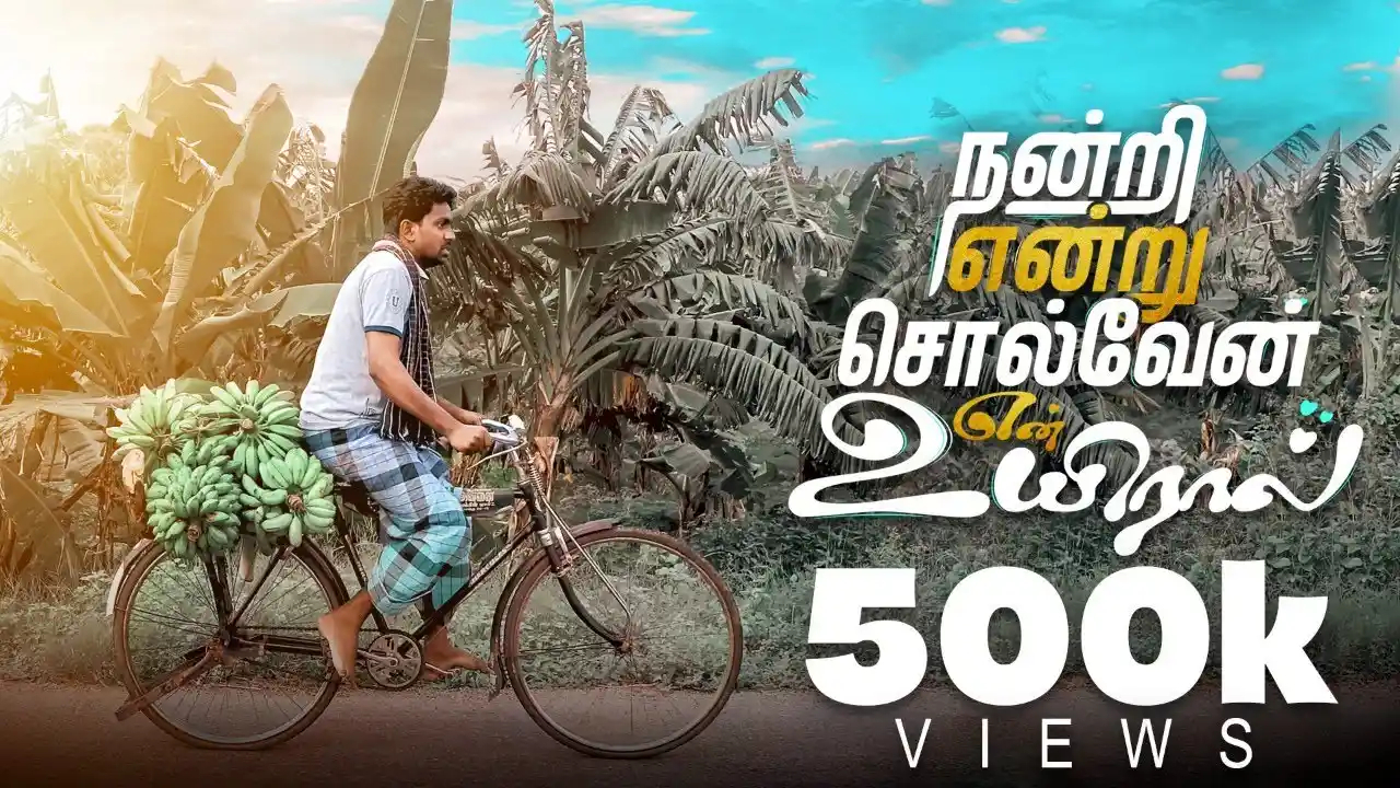 Nandri Endru Solvaen,Nandri Endru Solvaen lyrics,