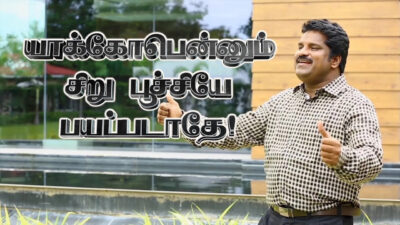 Yakobennum Siru Poochiye - யாக்கோபே என் யாக்கோபே Lyrics Chords Mp3 1 Yakobennum Siru Poochiye,Yakobennum Siru Poochiye lyrics,