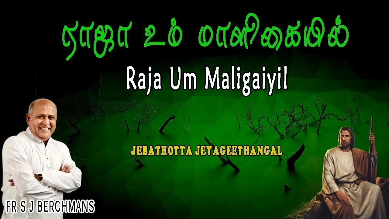 Raja Um Maligaiyil Rapakalai,