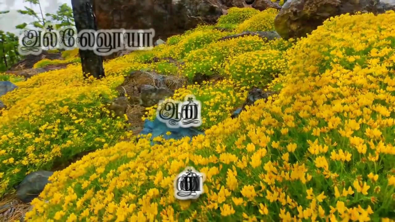 Malaikal Vilaki Ponalum Magizhnthu,Pasum Pon Mangi Ponathe,