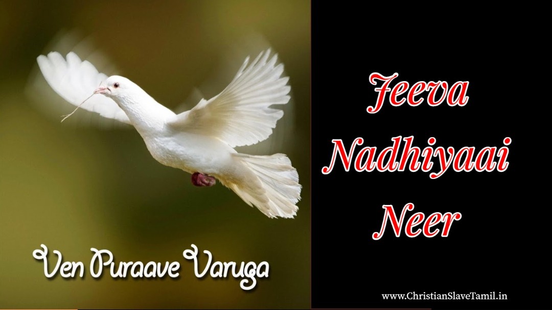 Jeeva Nadhiyaai Neer, Jeeva Nadhiyaai Neer song,