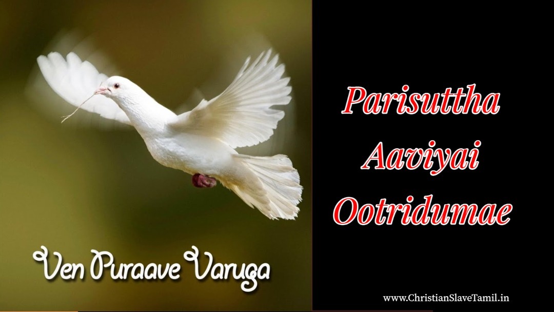 Parisutha Aaviyai Ootridumae - பரிசுத்த ஆவியை ஊற்றிடுமே 3 Parisuttha Aaviyai Ootridumae,