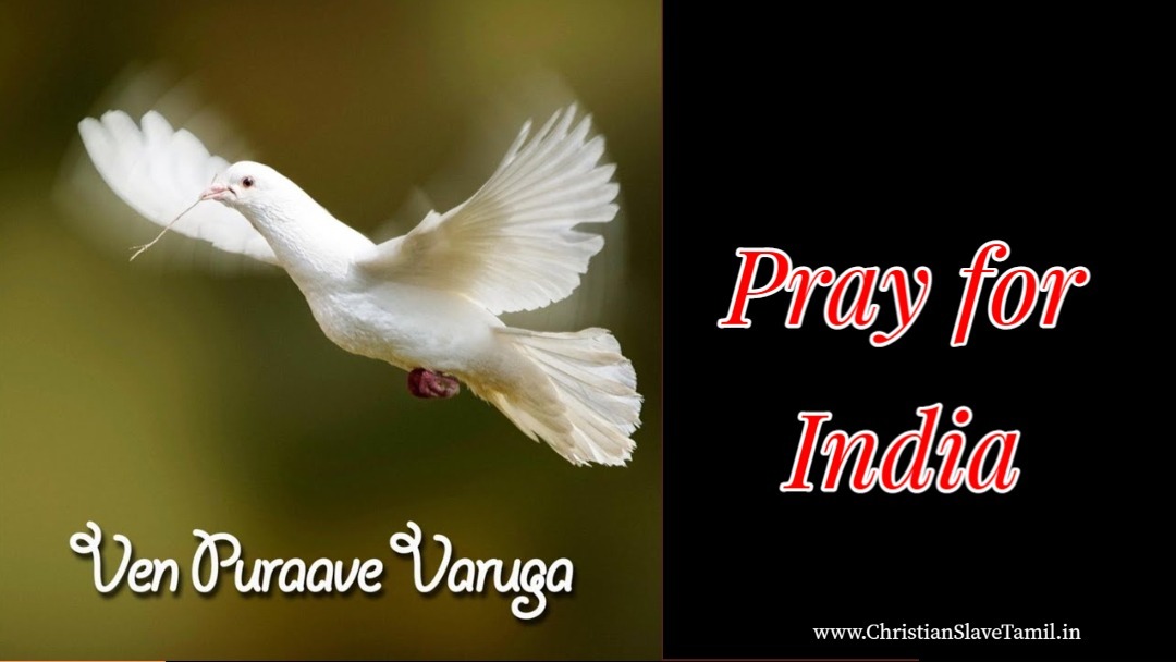 Pray for India, Pray for India Song,