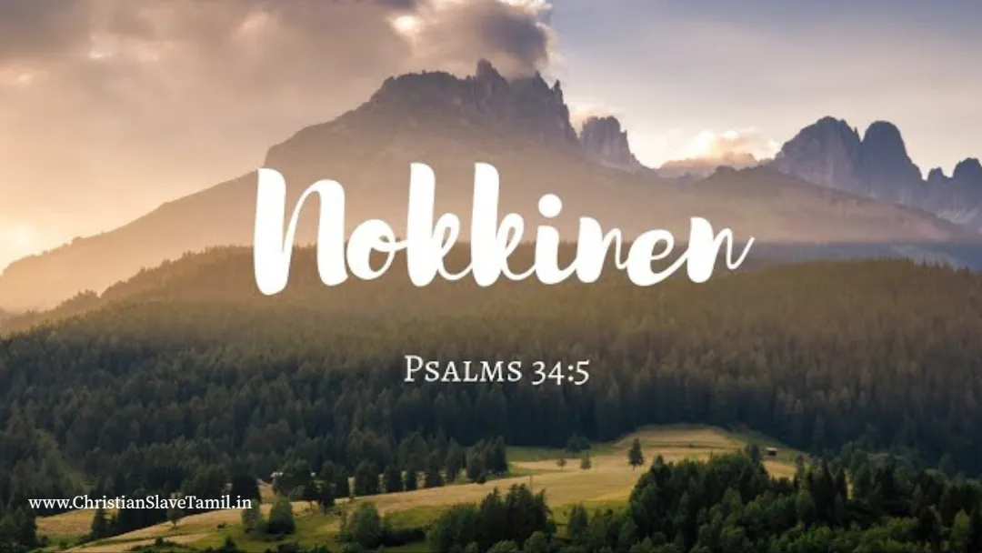 Nokkinen Nokkinen Venduthal,