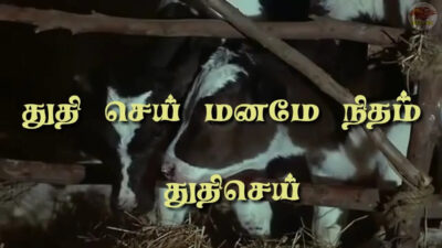 Thuthi Sei Maname Nitham, Thuthi Sei Maname Nitham song,