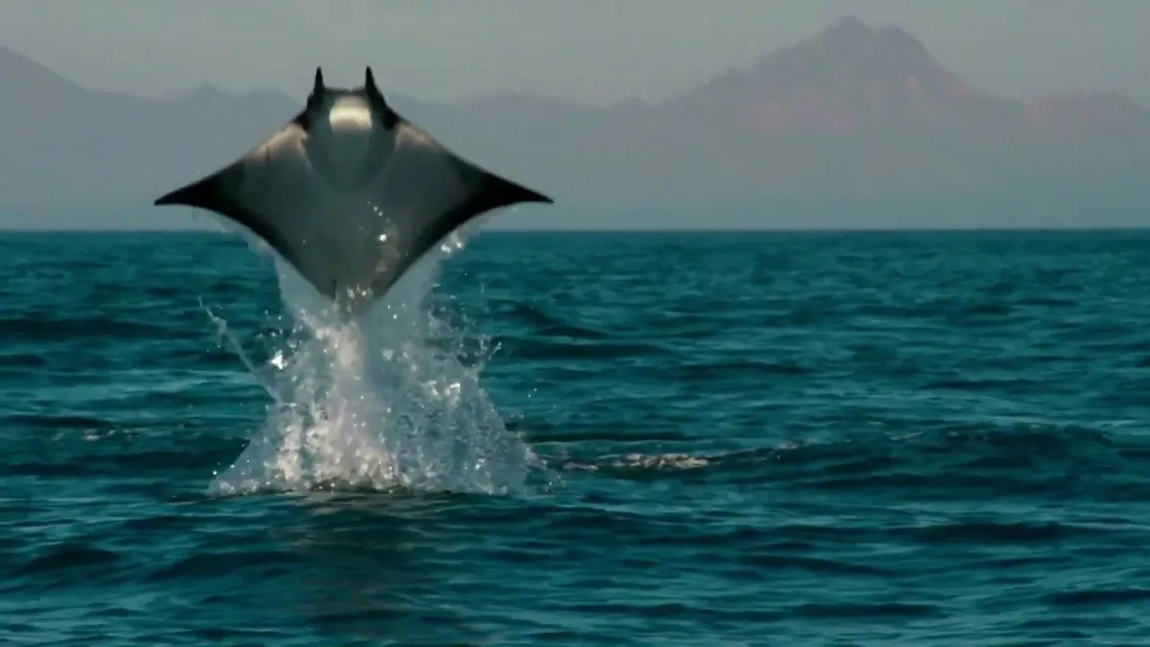 Thuthi Thuthi En Maname - துதி துதி என் மனமே துதி 10 Thuthi Thuthi En Maname,