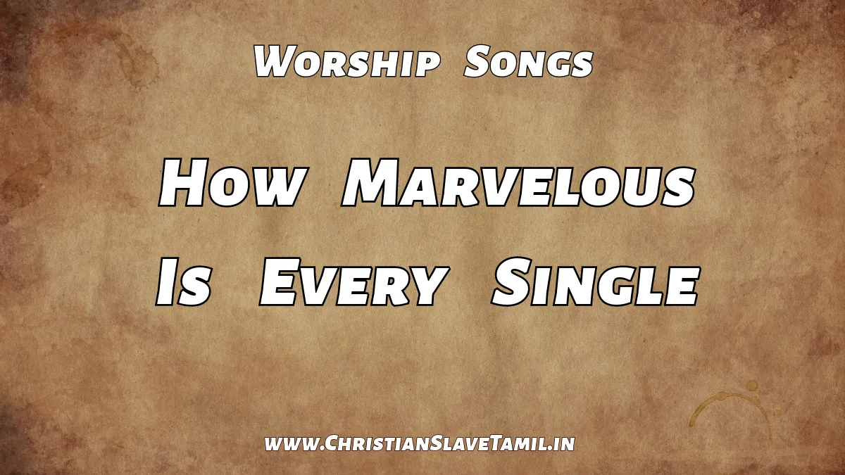 How Marvelous Is Every Single, How Marvelous Is Every Single song,