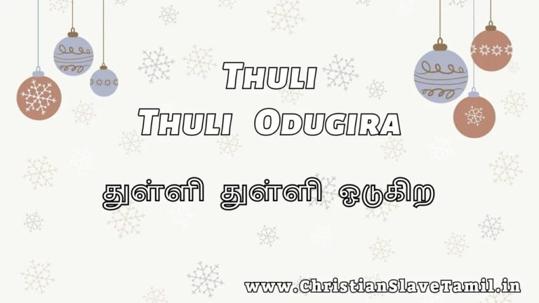Thuli Thuli Odugira Chinnanjiru - துள்ளி துள்ளி ஓடுகிற 1 Thuli Thuli Odugira Chinnanjiru, Thuli Thuli Odugira song,