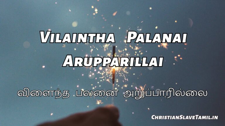 Vilaintha Palanai Arupparillai - விளைந்த பலனை 2 Vilaintha Palanai Arupparillai, Vilaintha Palanai Arupparillai Song,